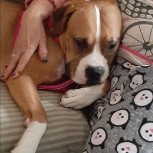 Meet your Posher, Giovanna